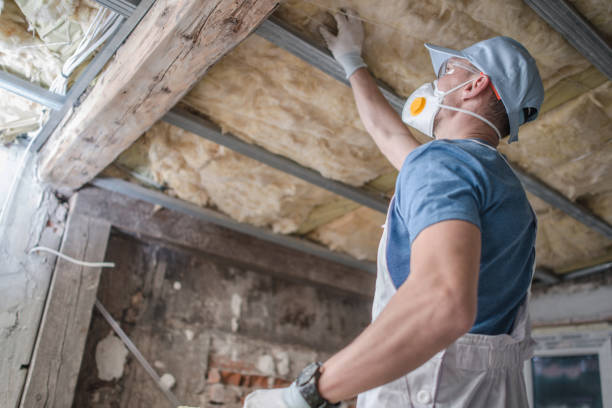 Best DIY Insulation Kits and Guidance in Milan, TN